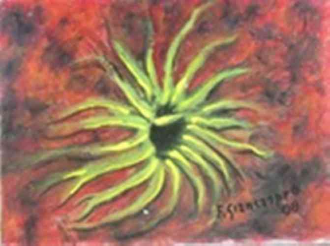 2008-433 - olio su canvas - 15x20 - disponibile